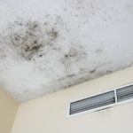 Mold in House in Kannapolis, North Carolina
