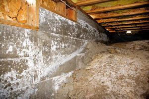 Signs of Moisture in Crawlspaces