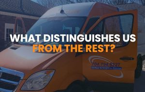 What Distinguishes Us from the Rest?