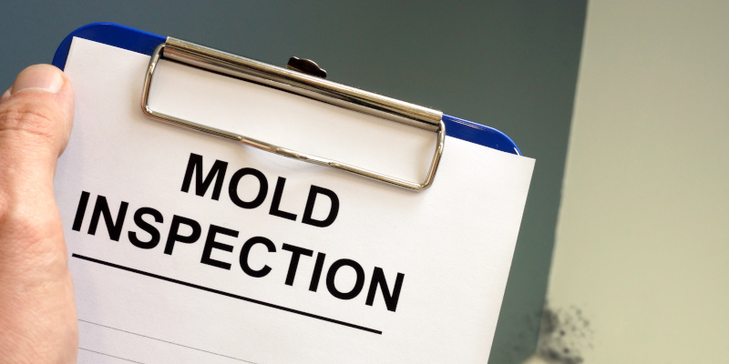 Why Mold Inspection is a Key Part of Home Maintenance