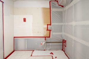 What You Need to Know About Mold Remediation