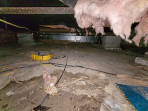 What to Do About Moisture in the Crawlspace